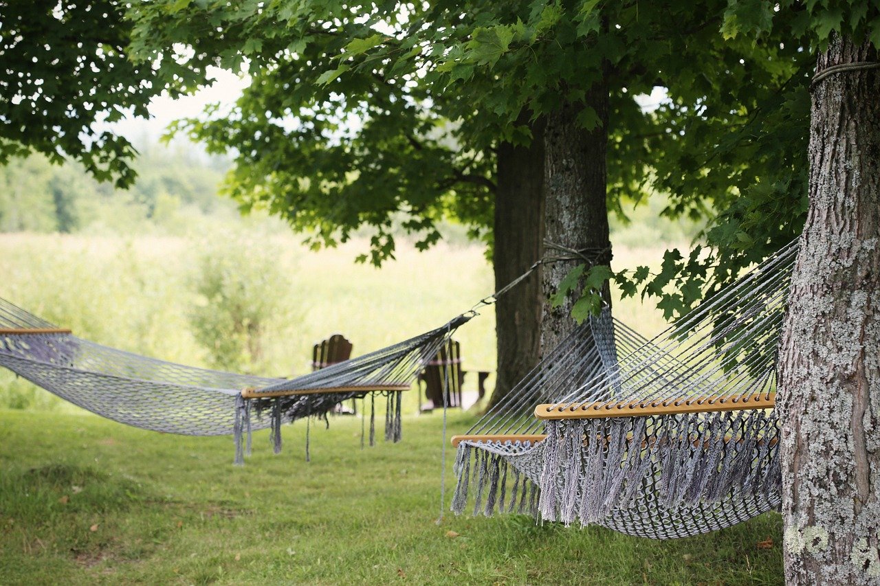 hammocks, trees, summer