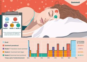 hypnogramme les stades du sommeil